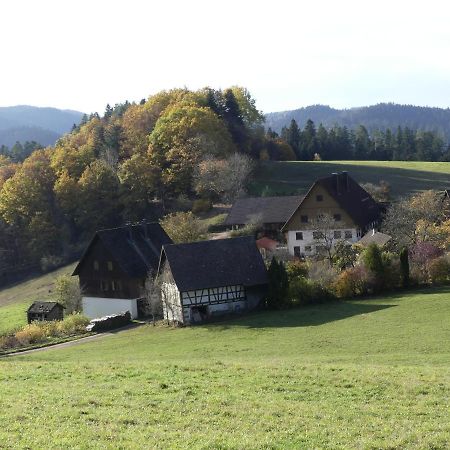 Ferienwohnung Hofenhof Schiltach Εξωτερικό φωτογραφία