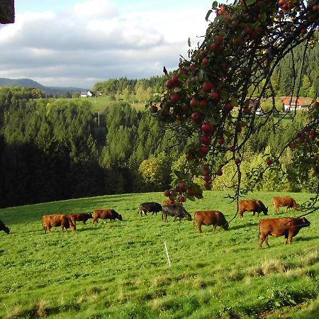 Ferienwohnung Hofenhof Schiltach Εξωτερικό φωτογραφία