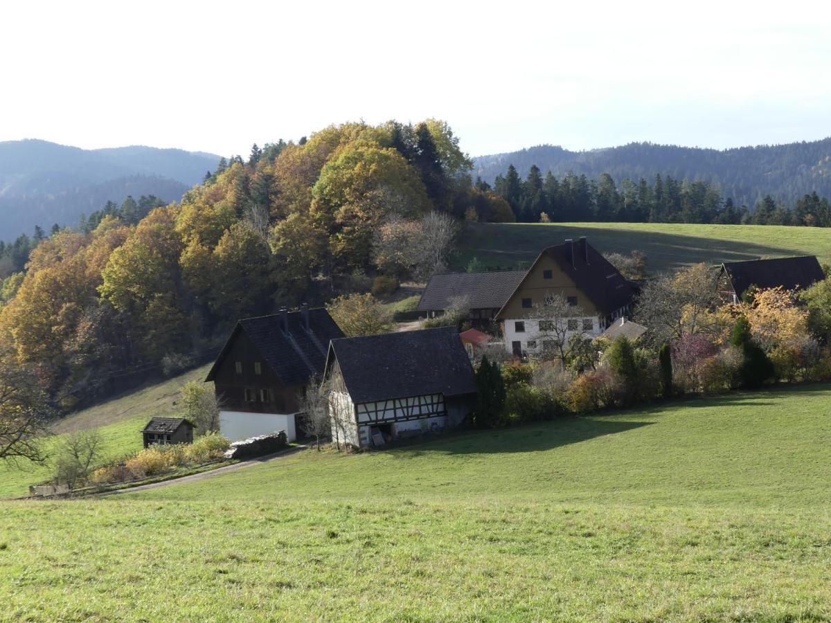 Ferienwohnung Hofenhof Schiltach Εξωτερικό φωτογραφία